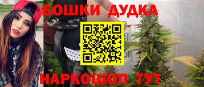 гидра Кимры