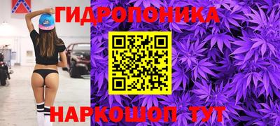 гидра Кимры