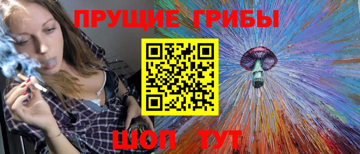 цены наркотик  Вход с VPN  Кохма  Псилоцибиновые грибы GOLDEN TEACHER 